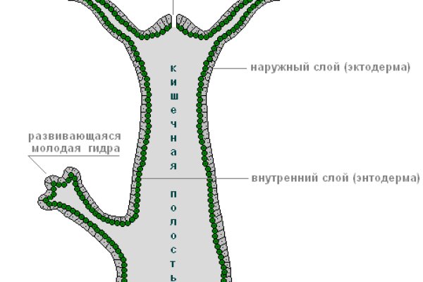 Kraken 16at сайт