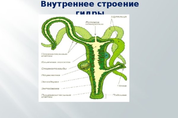 Зайти на кракен тор