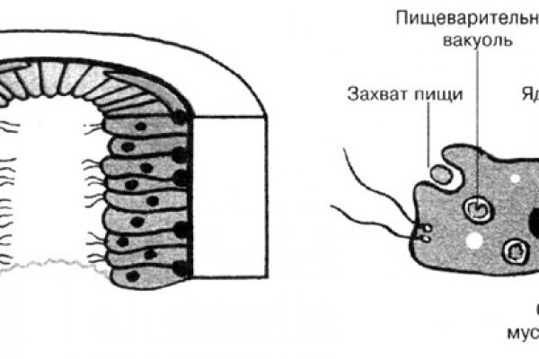 Рабочее зеркало на кракен