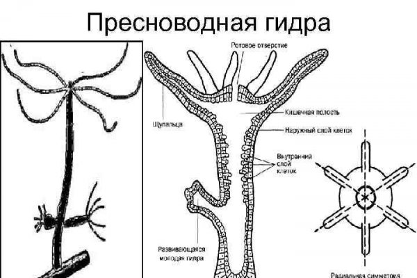 Как восстановить аккаунт кракен